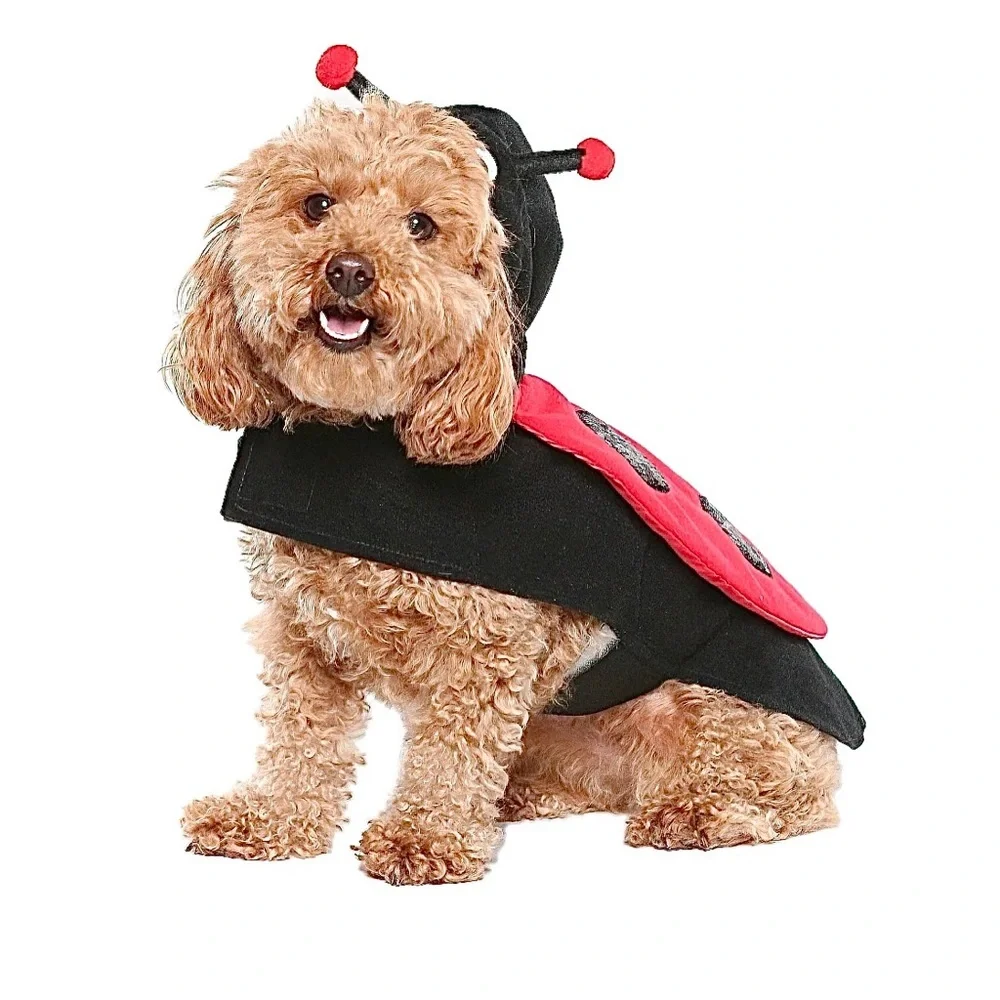 PET LADYBUG COSTUME NWT